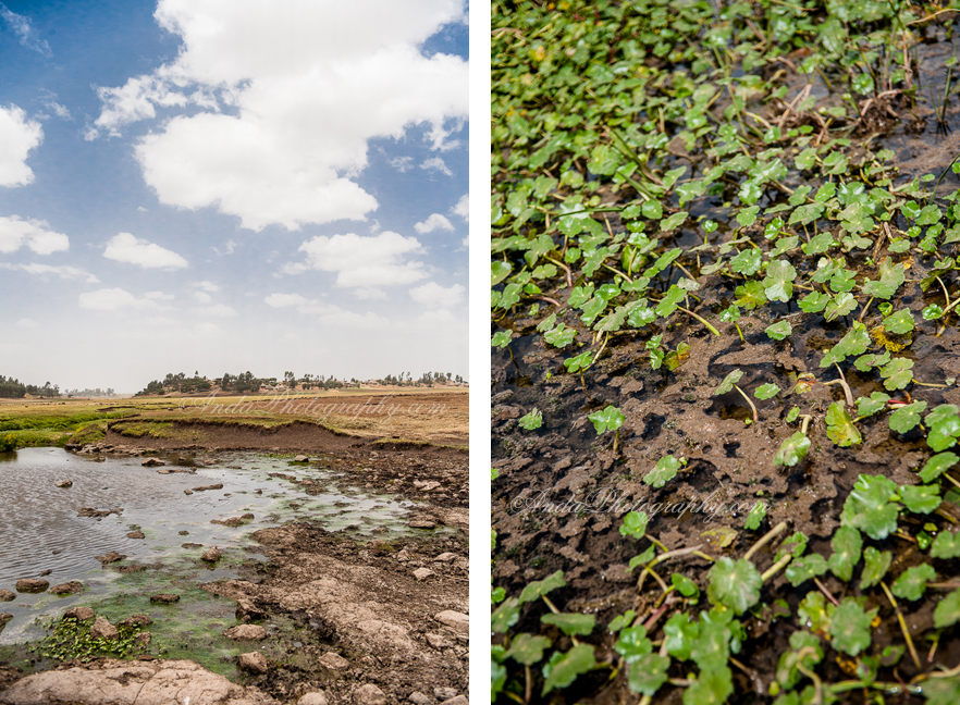 Anda Photography, Ethiopia, Africa, clean water, non profit photography, Evangeline International, Glimmer of Hope