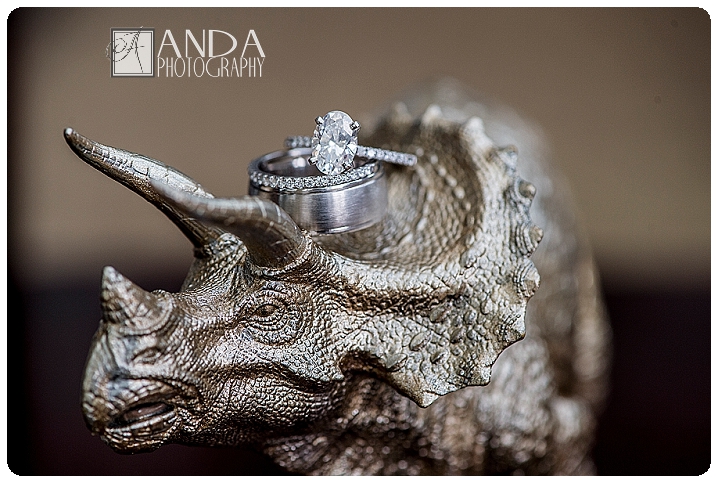 Anda Photography, creative photography, chic, artistic photography, unique photography, fall autumn wedding, vibrant colors, lifestyle photography, on location photography, Bellingham engagement photography, Bellingham wedding photography, Seattle wedding photography, Seattle engagement photography, creative wedding photography, unique wedding photography, vibrant images, photojournalistic photography, seattle wedding photography, seattle engagement photography, casual photography style, emotional wedding images, outdoor wedding, waterfront wedding ceremony, Hotel Bellweather wedding, wedding under a tent, sunny summer wedding, vintage animal wedding decor, audrey hepburn wedding style, Dane, Meredith