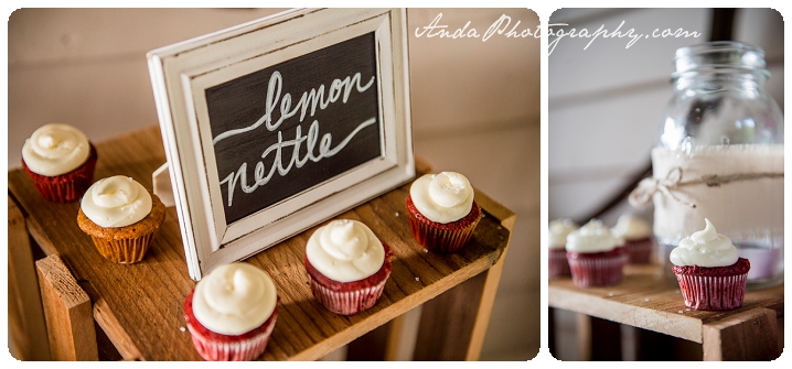 Bellingham Wedding Photography Backyard Wedding Lifestyle Photography Unrein Bison_0074