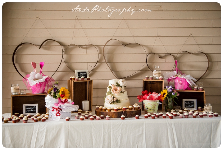 Bellingham Wedding Photography Backyard Wedding Lifestyle Photography Unrein Bison_0076