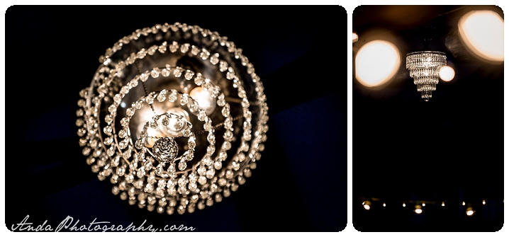 Bellingham Wedding Photography Backyard Wedding Lifestyle Photography Unrein Bison_0092