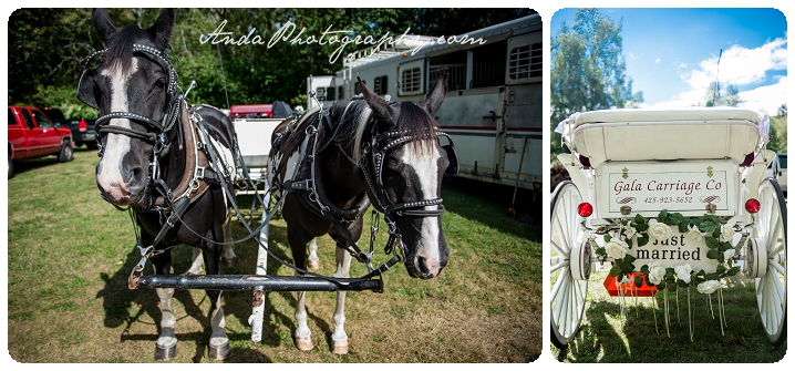 bellingham-wedding-photography-norway-park-wedding_0016