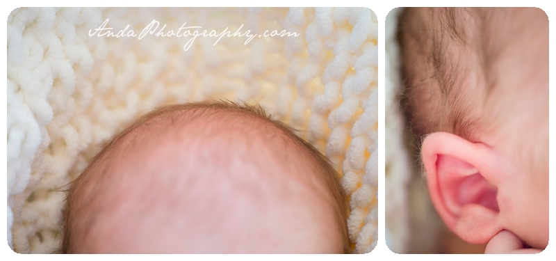 Bellingham Family Photos Newborn Photos Home Family Photography Lifestyle Newborn Photography_0015