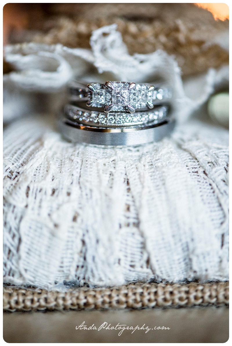 Bellingham Wedding Photographer West Virginia wedding photography Buckhannon wedding photography Bicentennial Inn wedding Anda Photography_0000