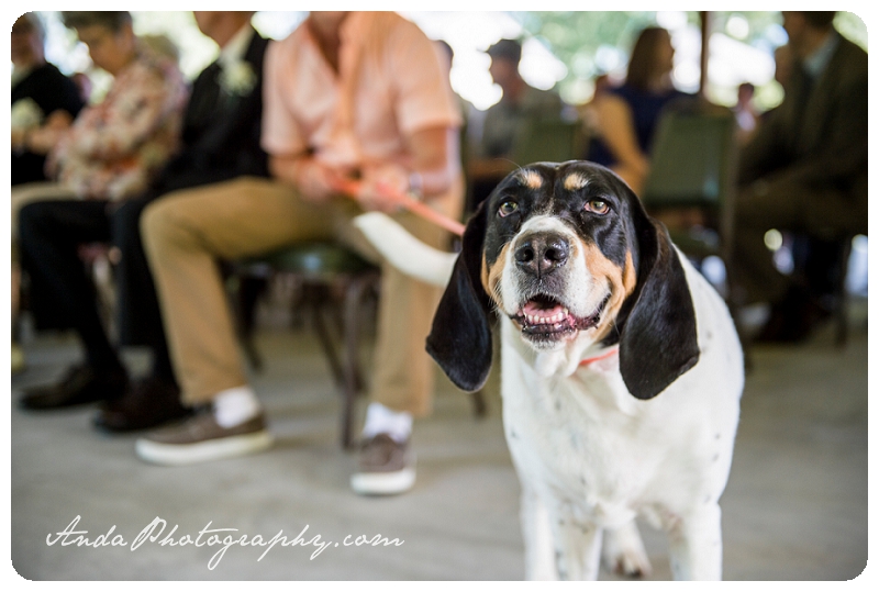 Bellingham Wedding Photographer West Virginia wedding photography Buckhannon wedding photography Bicentennial Inn wedding Anda Photography_0032