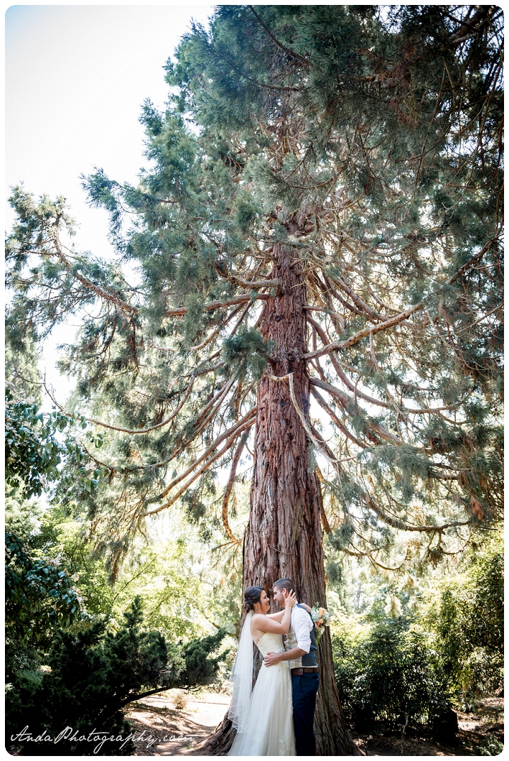 Bellingham wedding photographer Seattle wedding photographer Ferry boat wedding photos Point Defiance wedding photos photojournalistic wedding photography_0067