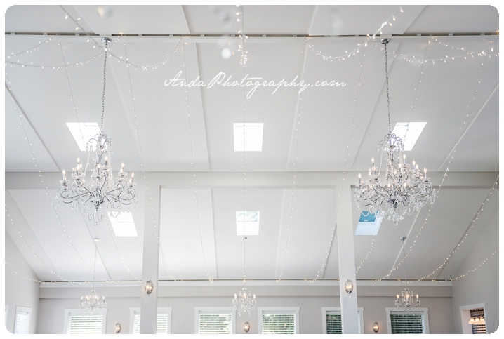 Bellingham wedding photographer Seattle wedding photographer Trinity Tree Fam wedding lifestyle wedding photography photojournalistic wedding photography_0037