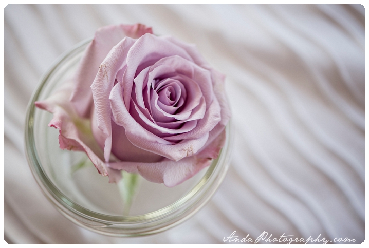 Bellingham wedding photographer Seattle wedding photographer Anda Photography lifestyle photography Winding Path Gardens wedding_0059