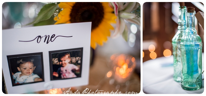 Bellingham wedding photographer Seattle wedding photographer Wine & Roses Estate wedding country chic wedding decor rustic country wedding photos_0052