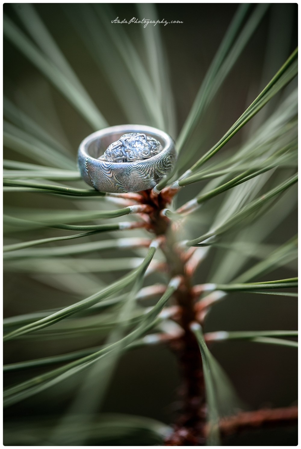 Anda Photography Bellingham wedding photography Bellingham lifestyle wedding photographer Seattle wedding photographers Sleeping Lady Resort Leavenworth wedding_0001