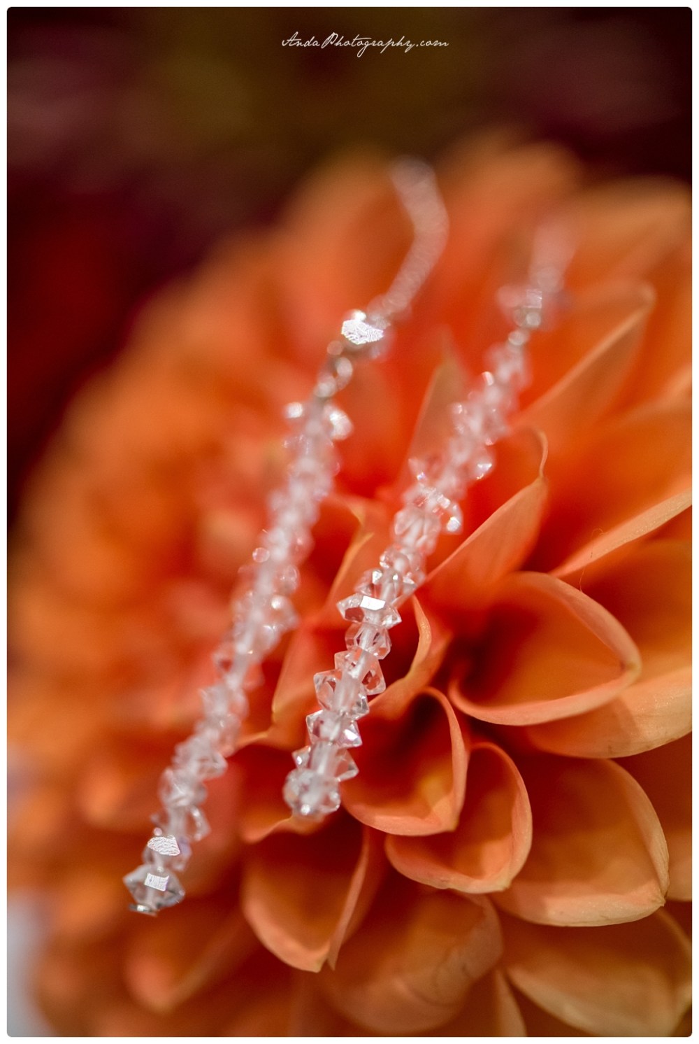 Anda Photography Bellingham wedding photography Bellingham lifestyle wedding photographer Seattle wedding photographers Sleeping Lady Resort Leavenworth wedding_0003b1