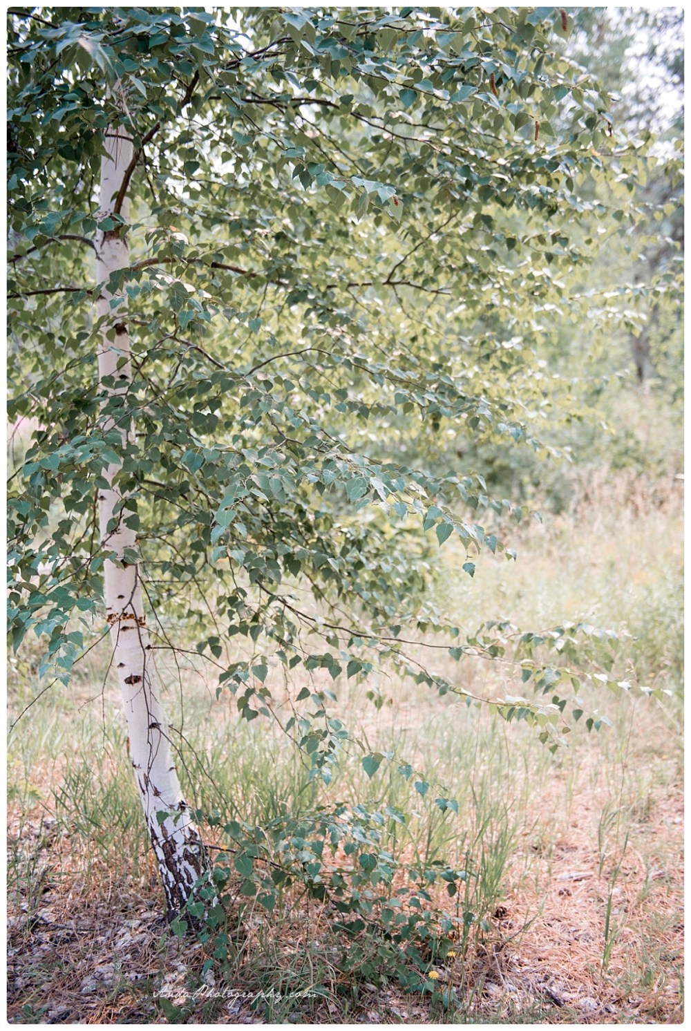 Anda Photography Bellingham wedding photography Bellingham lifestyle wedding photographer Seattle wedding photographers Sleeping Lady Resort Leavenworth wedding_0067