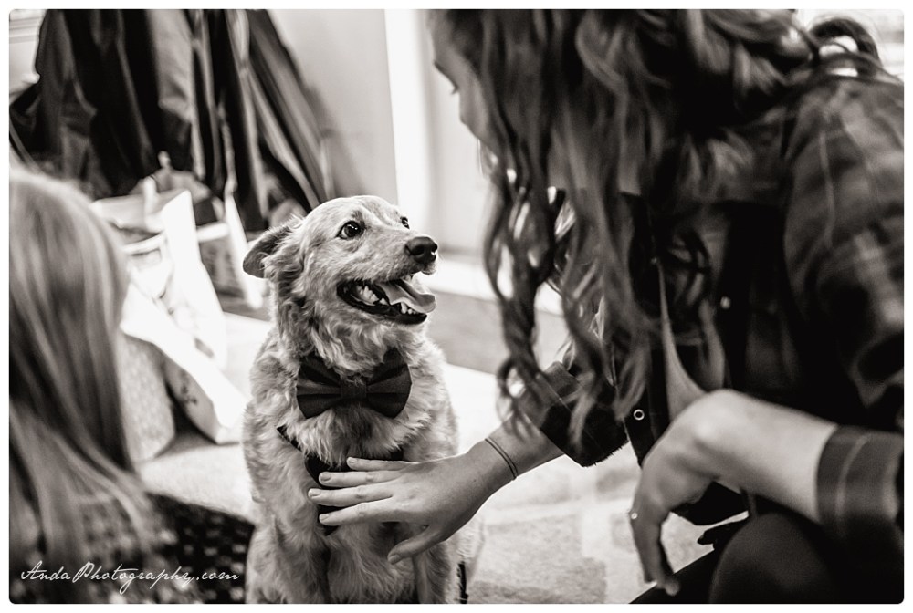 Anda Photography Bellingham wedding photography Bellingham lifestyle wedding photographer Maplehurst Farms_0007