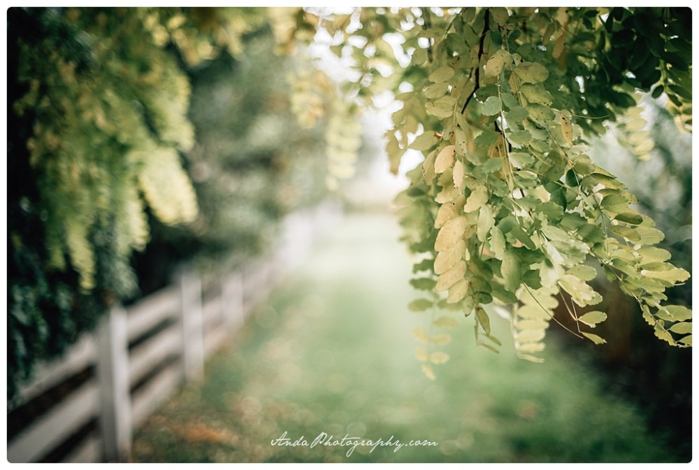 Anda Photography Bellingham wedding photography Bellingham lifestyle wedding photographer Maplehurst Farms_0014