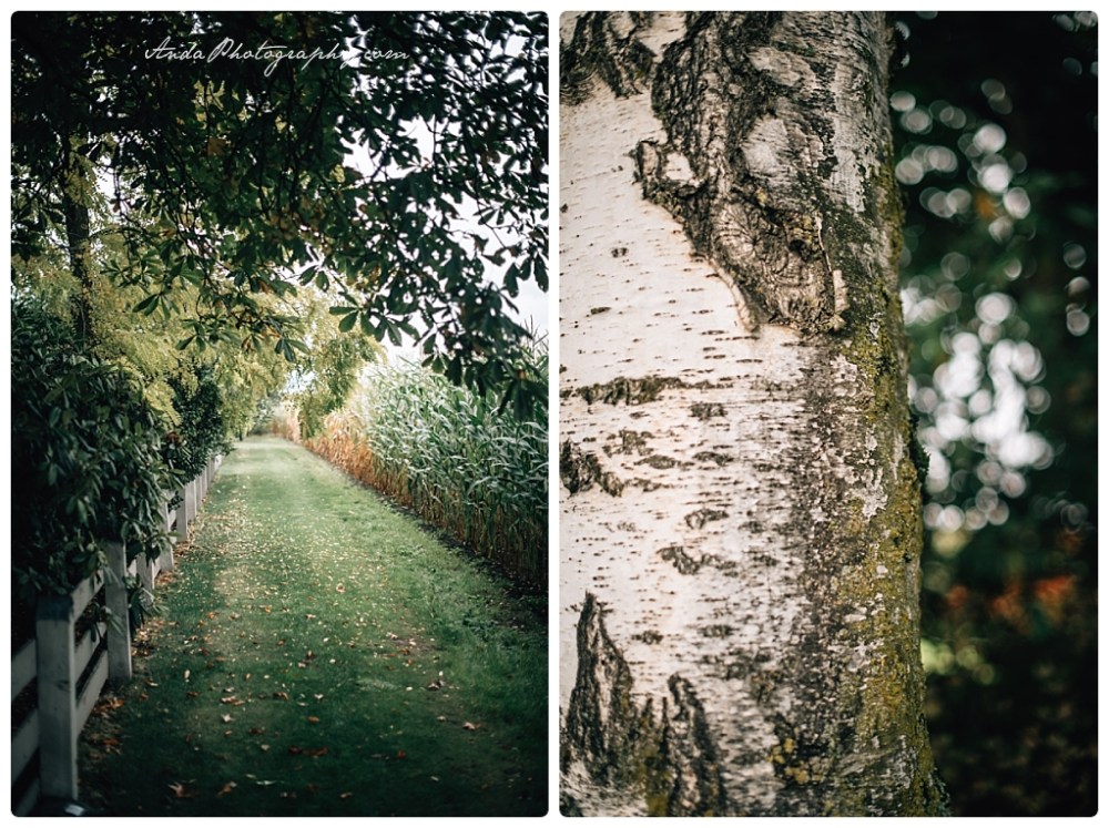 Anda Photography Bellingham wedding photography Bellingham lifestyle wedding photographer Maplehurst Farms_0026b