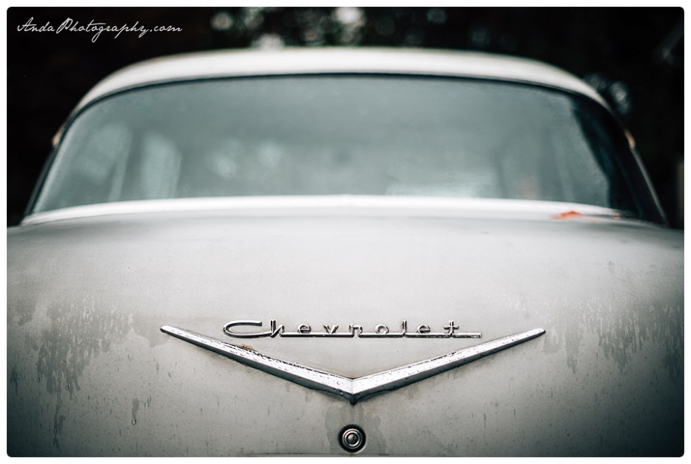 Anda Photography Bellingham wedding photography Bellingham lifestyle wedding photographer Maplehurst Farms_0069