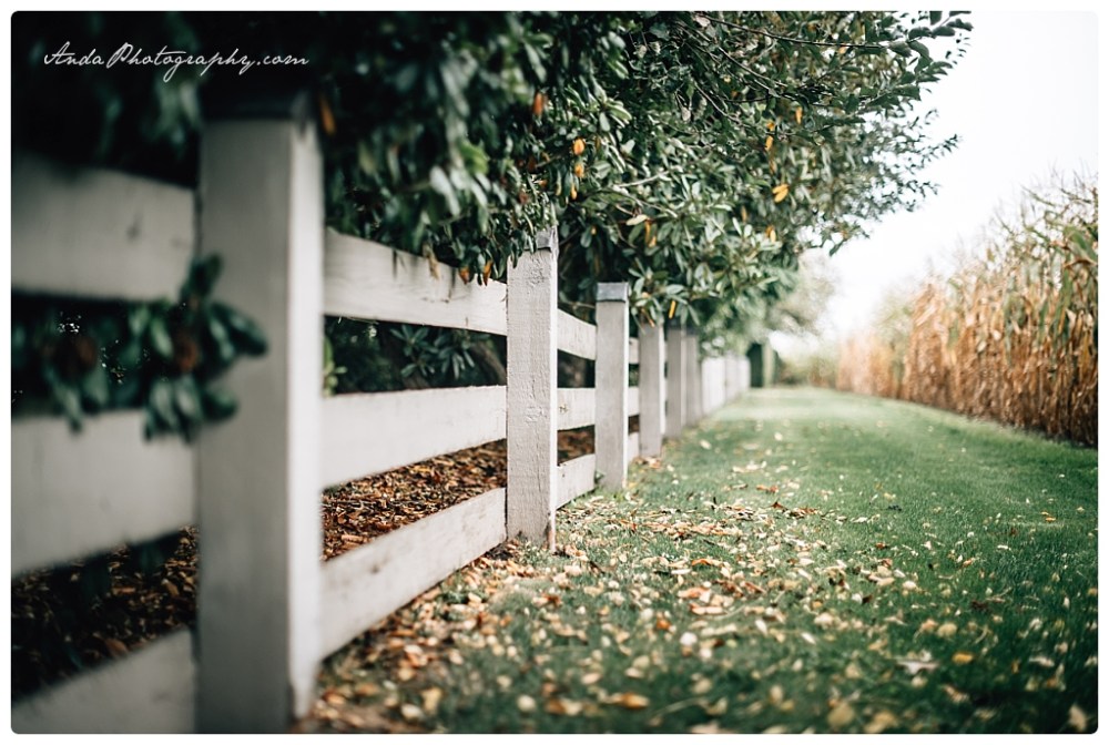 Anda Photography Bellingham wedding photography Bellingham lifestyle wedding photographer Maplehurst Farms_0069b