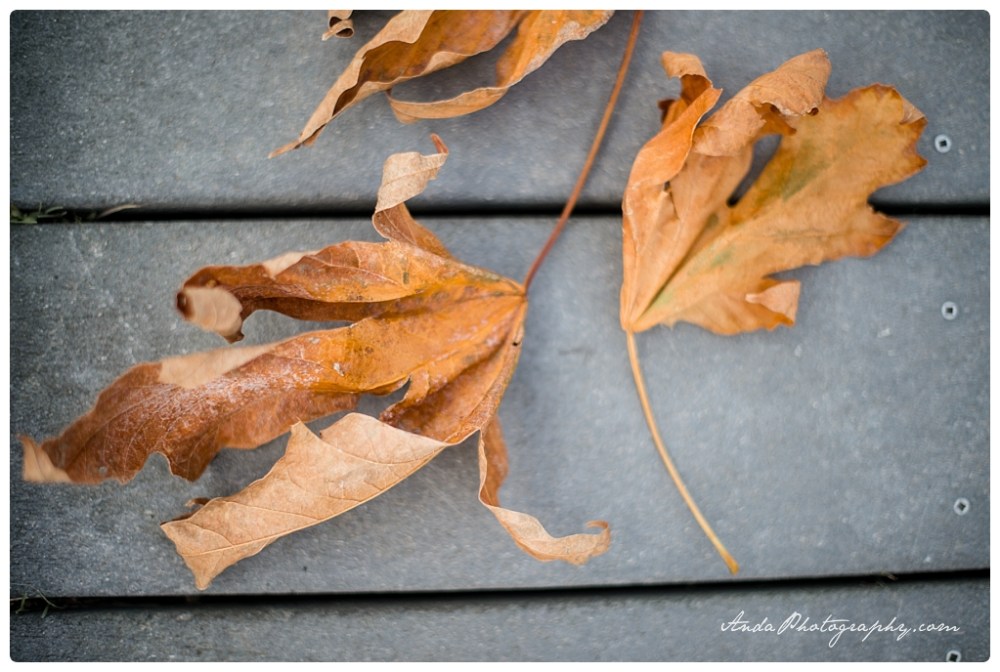 Anda Photography Bellingham wedding photography Bellingham lifestyle wedding photographer Semiahmoo Cannery Lodge_0009