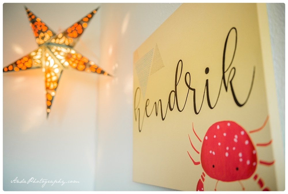 04 Anda Photography Bellingham newborn photographer In home newborn photography lifestyle newborn photographer_0003b