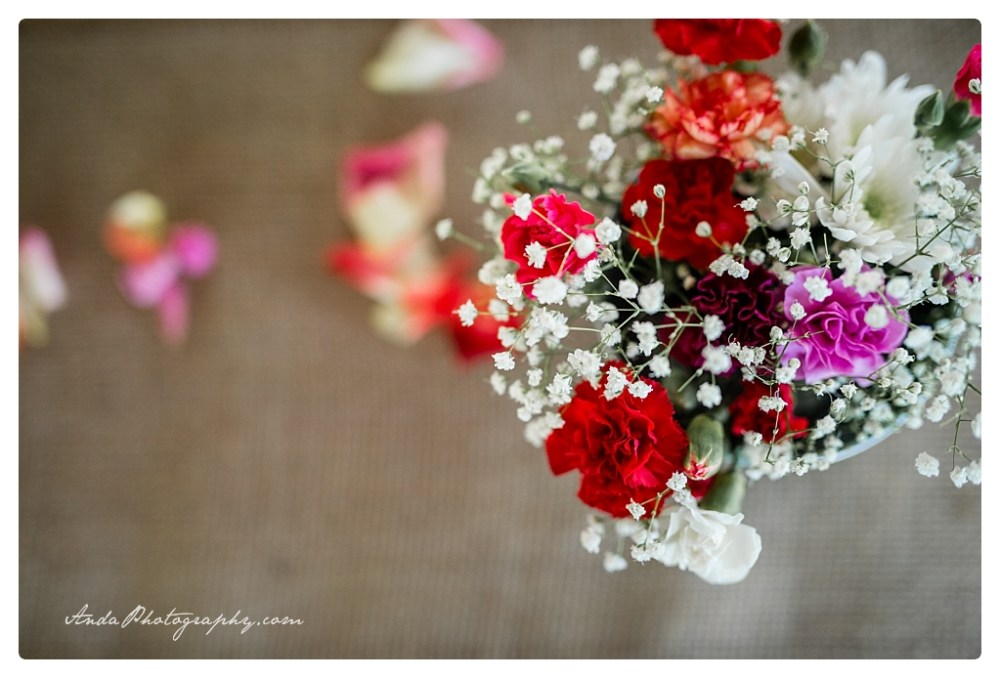 Anda Photography Bellingham wedding photographer Hovander park wedding Bellingham lifestyle wedding photographer whatcom county engagement photographer_0017