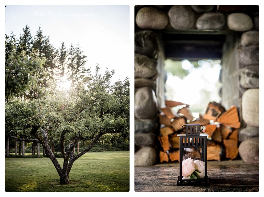 Anda Photography Bellingham wedding photographer Hovander park wedding Bellingham lifestyle wedding photographer whatcom county engagement photographer_0018