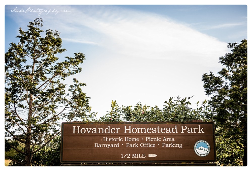 Anda Photography Bellingham wedding photographer Hovander park wedding Bellingham lifestyle wedding photographer whatcom county engagement photographer_0020