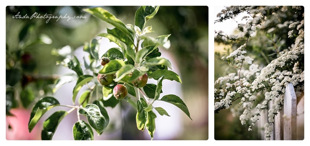 Anda Photography Bellingham wedding photographer Hovander park wedding Bellingham lifestyle wedding photographer whatcom county engagement photographer_0027b