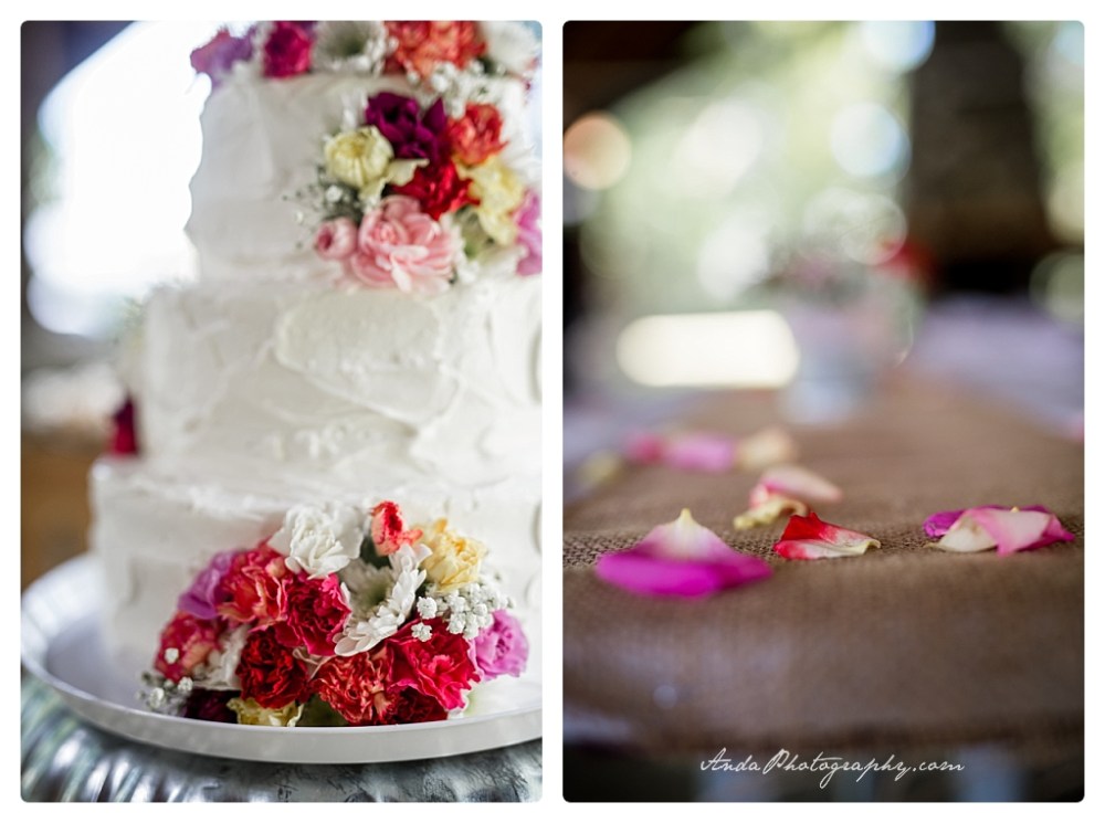 Anda Photography Bellingham wedding photographer Hovander park wedding Bellingham lifestyle wedding photographer whatcom county engagement photographer_0045