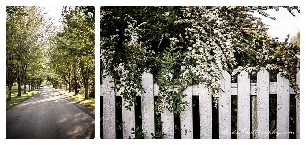 Anda Photography Bellingham wedding photographer Hovander park wedding Bellingham lifestyle wedding photographer whatcom county engagement photographer_0057b