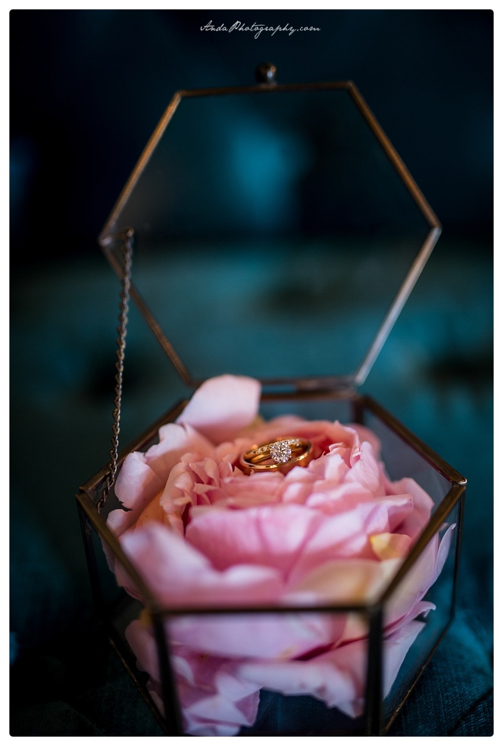 Anda Photography Bellingham wedding photographer Hidden Meadows wedding Bellingham lifestyle wedding photographer whatcom county engagement photographer_0001