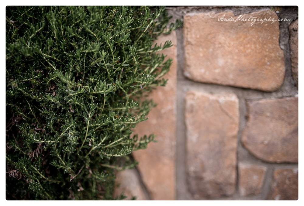 Anda Photography Bellingham wedding photographer Hidden Meadows wedding Bellingham lifestyle wedding photographer whatcom county engagement photographer_0031