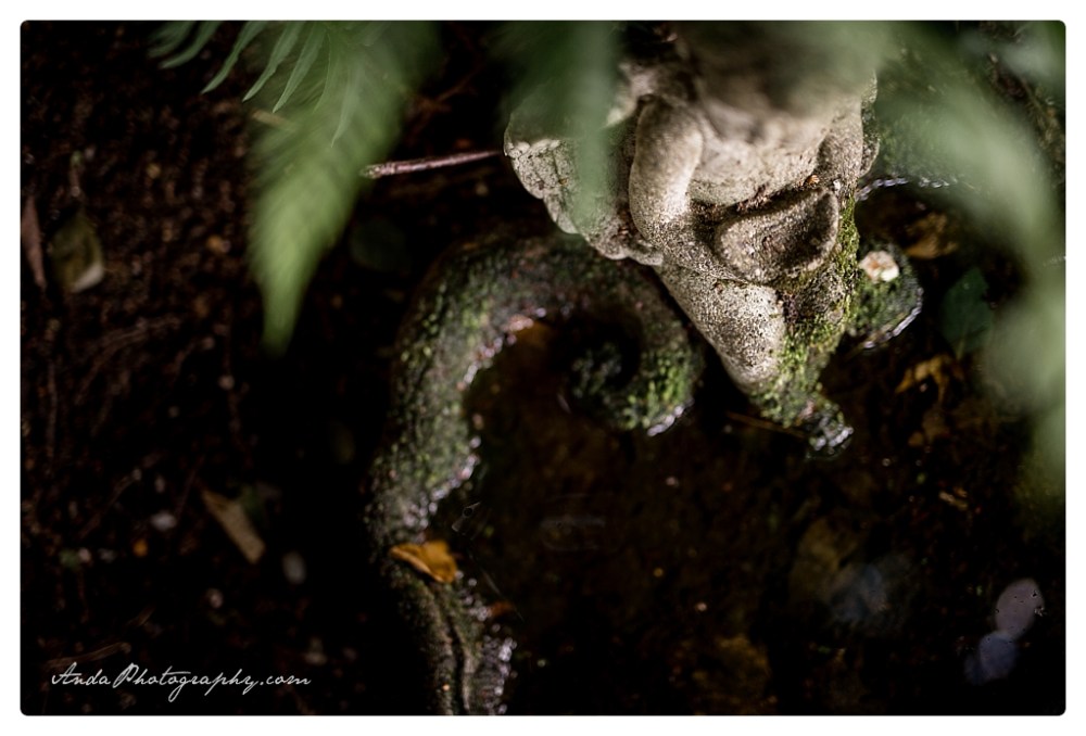 Anda Photography Bellingham wedding photographer Hidden Meadows wedding Bellingham lifestyle wedding photographer whatcom county engagement photographer_0033