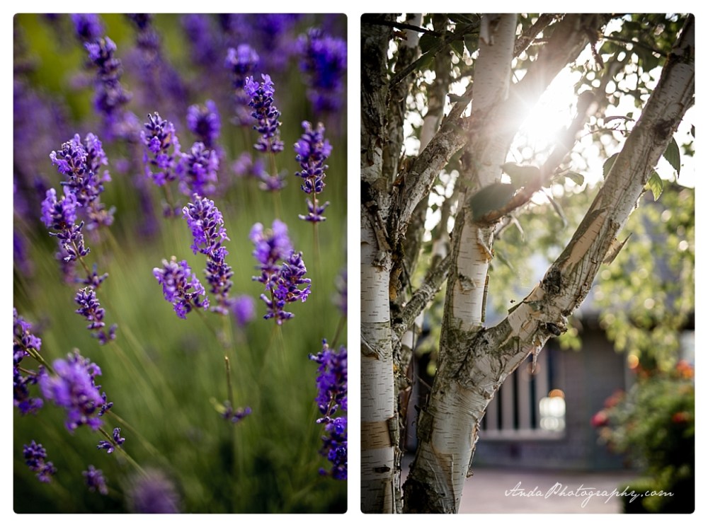 Anda Photography Bellingham wedding photographer Hidden Meadows wedding Bellingham lifestyle wedding photographer whatcom county engagement photographer_0046