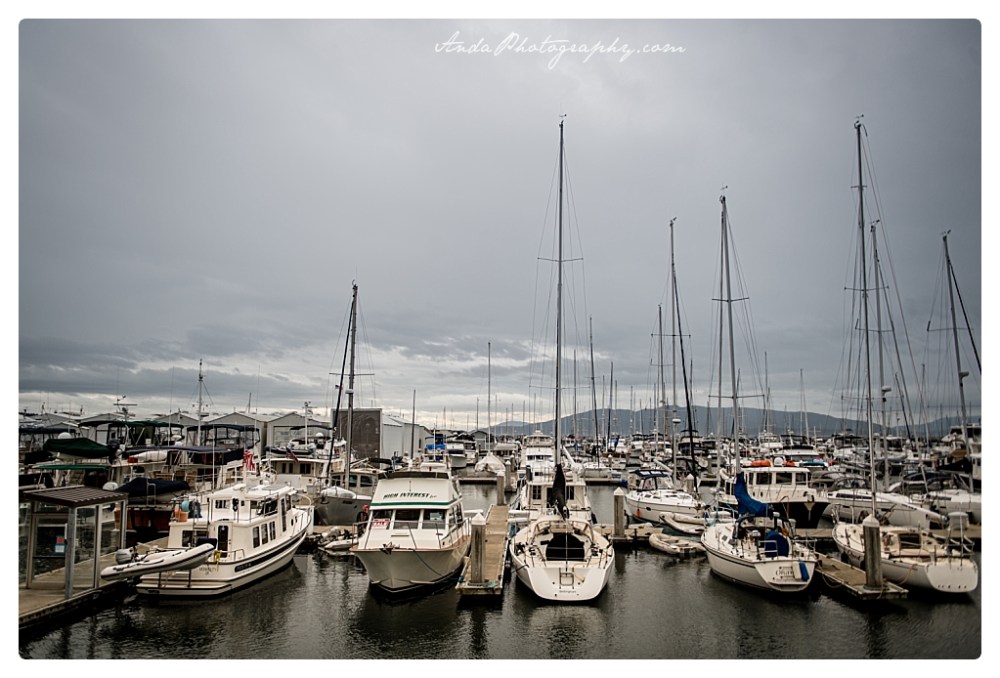 Anda Photography Bellingham wedding photographer Bellingham Yacht Club Wedding lifestyle wedding photographer Seattle Wedding Photographer_0038