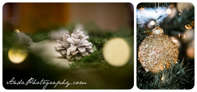 Bellingham Wedding Photographer Seattle wedding photography Squalicum Boathouse wedding Anda Photography_0002