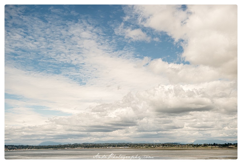 Anda Photography, Bellingham wedding photographer, Blaine wedding photographer, House wedding, Covid wedding, pandemic wedding_0001