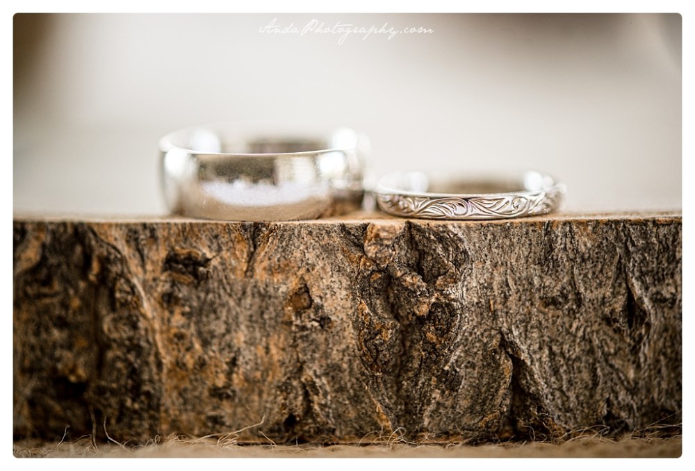 Anda Photography, Bellingham wedding photographer, Blaine wedding photographer, House wedding, Covid wedding, pandemic wedding_0040