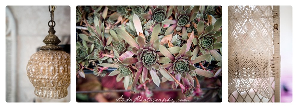 Anda Photography, Bellingham wedding photographer, Skagit wedding photographer, Stepping Stones Garden, Whatcom County wedding photographer_0008