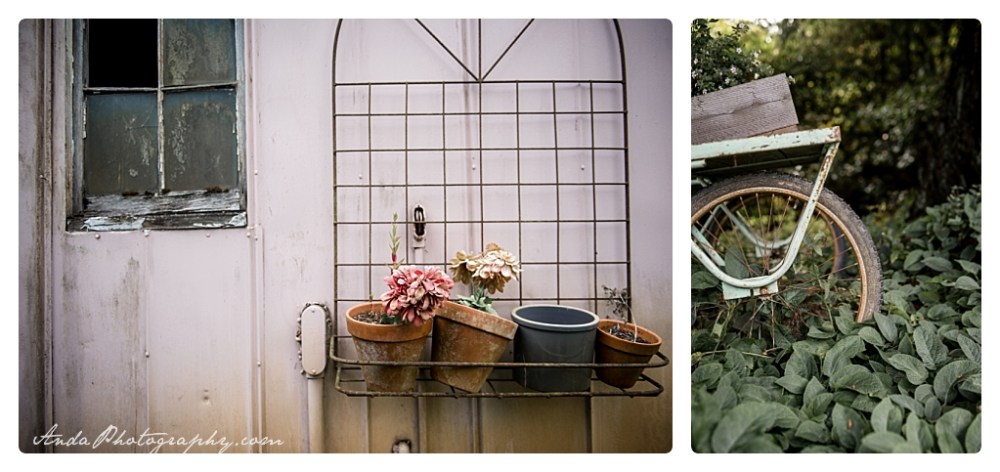 Anda Photography, Bellingham wedding photographer, Skagit wedding photographer, Stepping Stones Garden, Whatcom County wedding photographer_0015