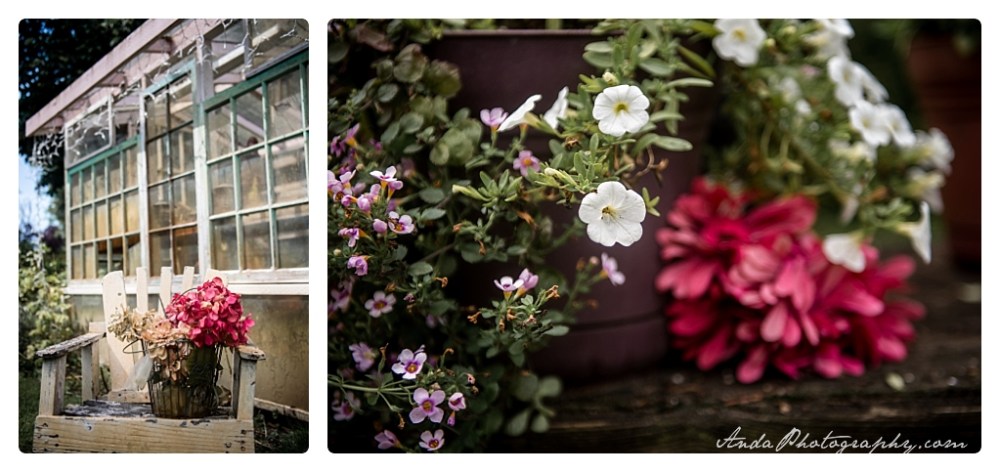 Anda Photography, Bellingham wedding photographer, Skagit wedding photographer, Stepping Stones Garden, Whatcom County wedding photographer_0047